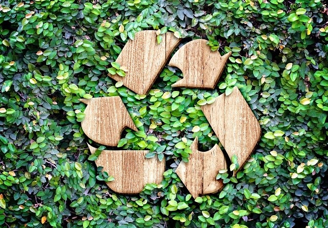 Environmentally Preferred Sourcing Powers Up Sustainability in Healthcare
